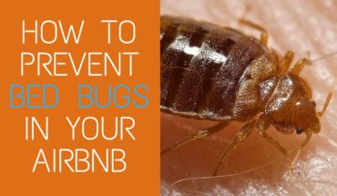 airbnb bed bugs
